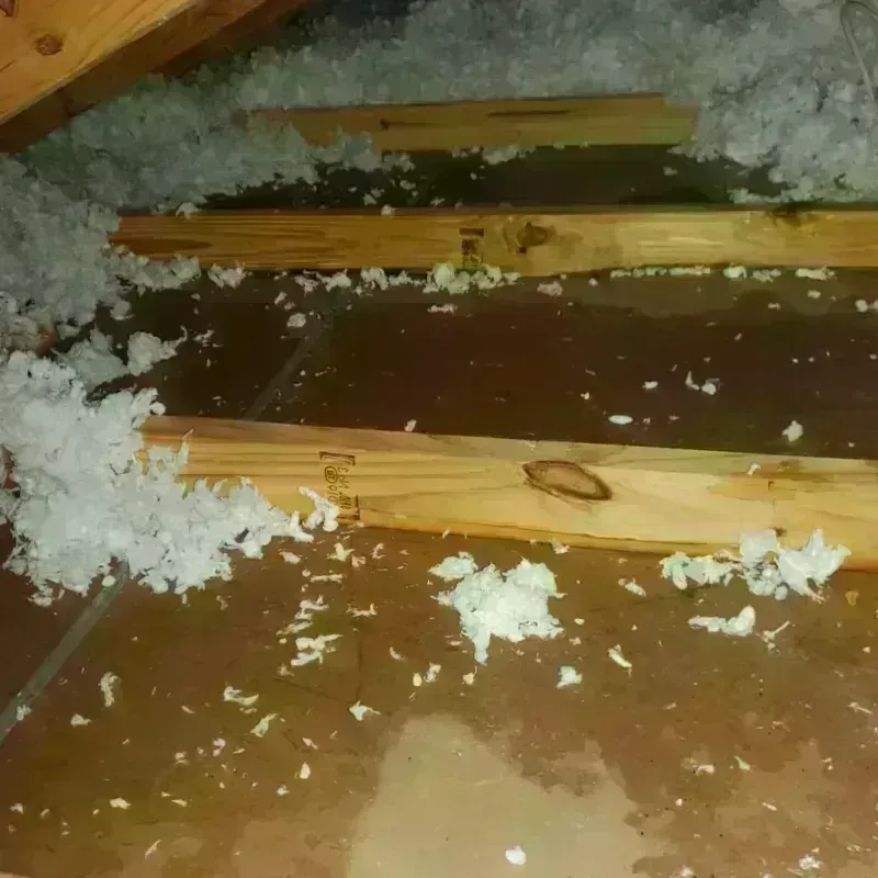 Attic Water Damage in Tchula, MS