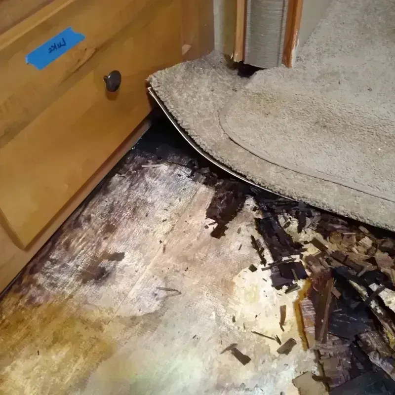 Wood Floor Water Damage in Tchula, MS